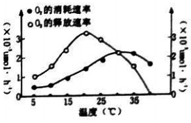 2021年8月1日山东省临沂市教师招聘生物学科试题（精选）(图15)
