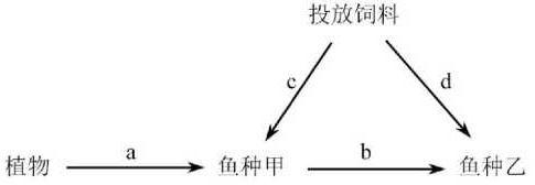2021年8月1日山东省临沂市教师招聘生物学科试题（精选）(图24)
