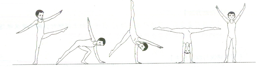 2022年山东省聊城市莘县《体育学科》考试题（考生回忆版）(图1)