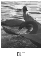 2019年江苏省徐州市教师招聘考试（小学美术）题(图5)