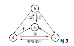 2019年江苏省宿迁市宿城区教师招聘考试《初中地理》题(图3)