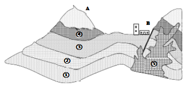 2019年江苏省宿迁市宿城区教师招聘考试《初中地理》题(图6)