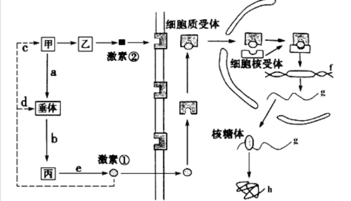 2019年江苏省徐州市教师招聘《生物学科》考试题(图7)