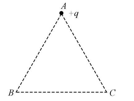 2020年江苏省常州市武进区教师招聘笔试题(图80)