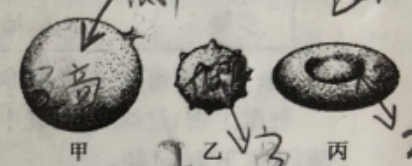 2022年6月25日江苏省苏州市吴江区《中学生物》考试题(图1)