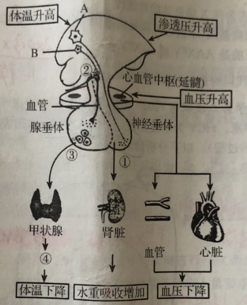 2022年6月25日江苏省苏州市吴江区《中学生物》考试题(图2)