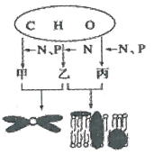 2016年3月19日广东省广州市教育局直属事业单位教师招聘考试（生物）题(图1)