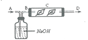 2016年3月19日广东省广州市教育局直属事业单位教师招聘考试（生物）题(图2)
