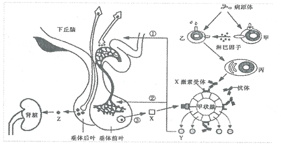 2016年3月19日广东省广州市教育局直属事业单位教师招聘考试（生物）题(图7)
