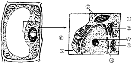 2016年4月24日广东省广州市海珠区教师招聘考试（中学生物）题(图1)