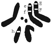 2016年4月24日广东省广州市海珠区教师招聘考试（中学生物）题(图4)