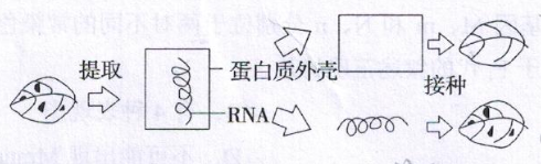 2016年11月26日广东省广州荔湾区教育局招聘考试《生物》题(图1)