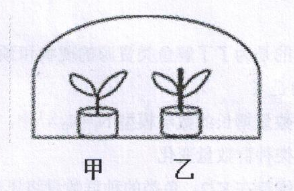 2016年11月26日广东省广州荔湾区教育局招聘考试《生物》题(图2)