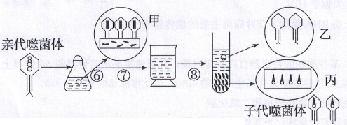 2016年11月26日广东省广州荔湾区教育局招聘考试《生物》题(图3)