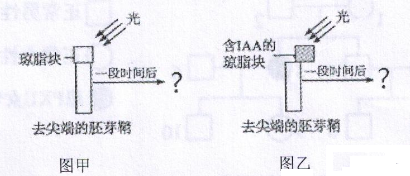 2016年11月26日广东省广州荔湾区教育局招聘考试《生物》题(图9)