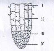 2016年11月26日广东省广州荔湾区教育局招聘考试《生物》题(图11)