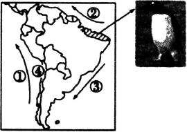 2017年广州市白云区教师招聘考试《中学地理》真题及答案(图8)