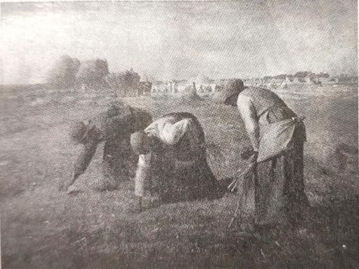 2017年4月15日广东省广州市白云区教师招聘考试（小学美术）题（精选）(图1)