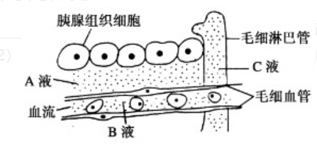 2018年广东省东莞市中小学教师公开招聘考试生物专业知识题(图11)