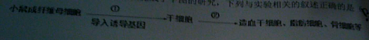 2018年广东省东莞市中小学教师公开招聘考试生物专业知识题(图18)