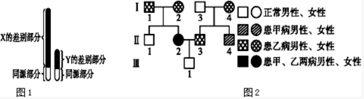 2018年广东省东莞市中小学教师公开招聘考试生物专业知识题(图19)
