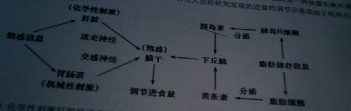 2018年广东省东莞市中小学教师公开招聘考试生物专业知识题(图20)