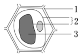2018年广东省茂名市化州市教师招聘（生物）题(图5)