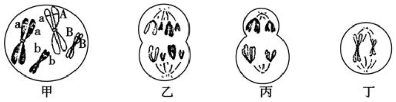 2018年广东省茂名市化州市教师招聘（生物）题(图11)