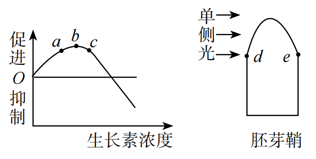 2019年广东省广州市白云区教师招聘考试中学生物试题(图14)