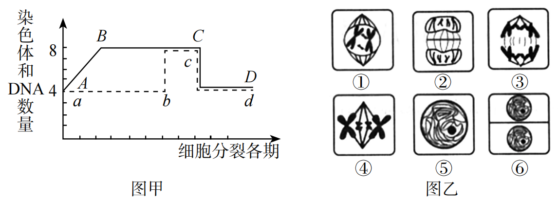 2019年广东省广州市白云区教师招聘考试中学生物试题(图23)