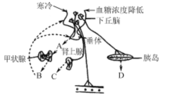 2019年7月30日广东省河源市和平县教师招聘考试（生物）题(图2)