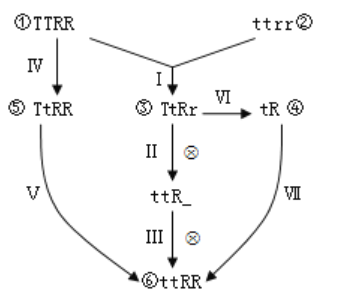 2019年7月30日广东省河源市和平县教师招聘考试（生物）题(图1)