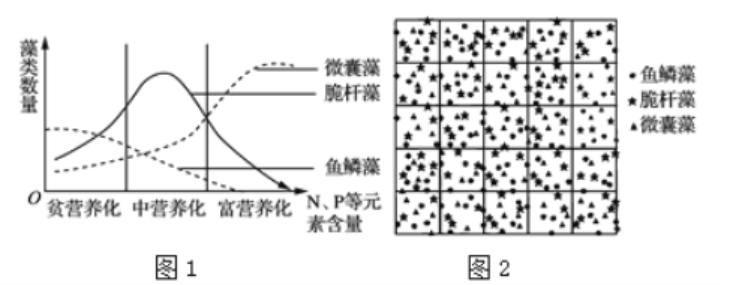 2019年7月30日广东省河源市和平县教师招聘考试（生物）题(图3)