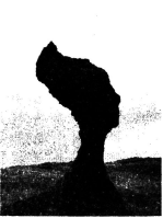 2017年福建省教师公开招聘考试《中学地理》真题及答案(图8)