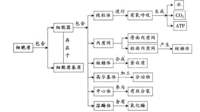 2017年福建省教师招聘考试《中学生物》真题及答案(精选)(图2)