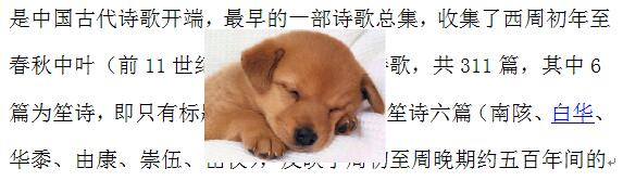 2019年福建省教师招聘《小学信息技术》题(图2)