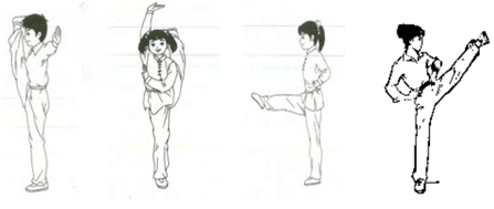 2019年福建省中小学体育新任教师公开招聘考试《中学体育》题（精选）(图1)