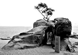 2019年福建省教师招聘《中学地理》题(图5)