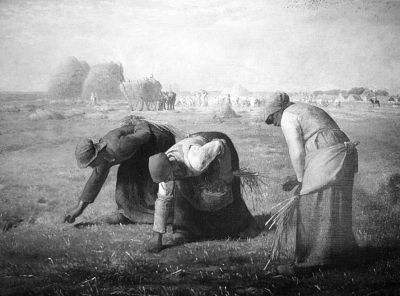 2018年安徽省教师招聘考试学科专业知识（中学美术）(图7)