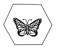 2018年安徽省教师招聘考试学科专业知识（小学美术）(图6)