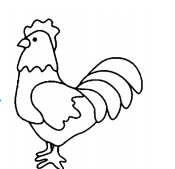 2018年安徽省教师招聘考试学科专业知识（小学美术）(图9)