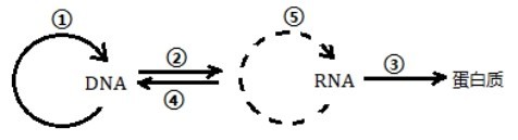 2018年安徽省中小学新任教师公开招聘考试（中学生物）题(图2)