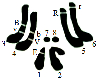 2018年安徽省中小学新任教师公开招聘考试（中学生物）题(图4)