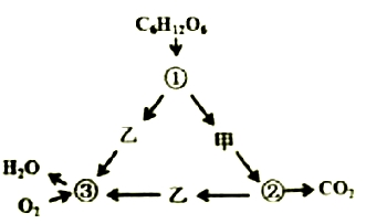 2018年安徽省中小学新任教师公开招聘考试（中学生物）题(图6)