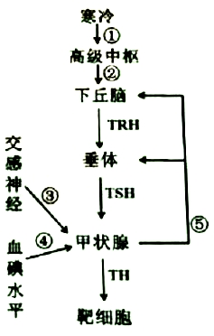 2018年安徽省中小学新任教师公开招聘考试（中学生物）题(图9)