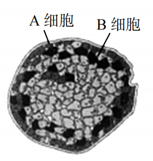 2019年安徽省教师招聘考试中学生物试题(图2)