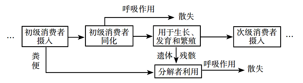 2019年安徽省教师招聘考试中学生物试题(图7)