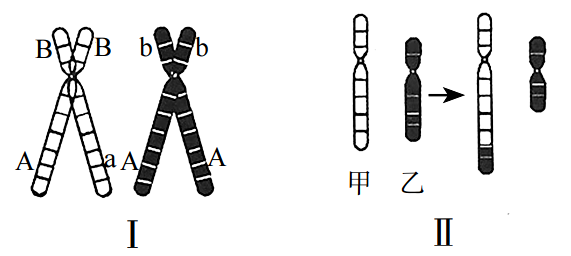 2019年安徽省教师招聘考试中学生物试题(图8)