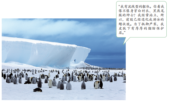 2019年安徽省中小学教师招聘题《中学地理》(图16) 2019年安徽省中小学教师招聘题《中学地理》(图16)