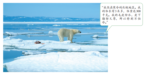 2019年安徽省中小学教师招聘题《中学地理》(图17) 2019年安徽省中小学教师招聘题《中学地理》(图17)